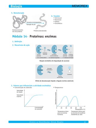Desnaturação5.
Aumento de temperatura
Variação de pH
Estrutura terciária
de uma proteína
Proteína desnaturada
Funções6.
Estrutural•	
Hormonal•	
Defesa•	
Enzimática•	
Módulo 14· Proteínas: enzimas
Definição1.
Mecanismo de ação2.
a
b
G
G
F
F
Complexo
enzima-substrato
Enzima
sacarase
Produtos
da reação
+
a
b
G
a e b: centros ativos G: molécula de glicose F: molécula de frutose
Enzima
sacarase
F
+
a
b
G
Substrato:
sacarose
Reação enzimática de degradação da sacarose
Enzima
Substrato
Enzima
desnaturada
Elevação
temperatura
Efeito da desnaturação impede a ligação enzima-substrato
Fatores que influenciam a atividade enzimática3.
Concentração do substrato•	
Velocidade
da reação
Velocidade
máxima
Concentração
do substrato
Temperatura•	
Velocidadedereação
Temperatura ótima
para as enzimas
humanas
0 20 40 60 80 100
Temperatura (°C)
Temperatura ótima para
as enzimas de bactérias
resistentes ao calor
Enem e Vestibular Dose Dupla 08
Biologia MEMOREX
 