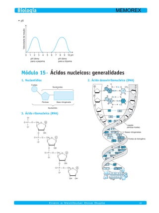 pH•	
Velocidadedereação
0 1 2 3 4 5 6 7 8 9 10
pH ótimo
para a pepsina
pH ótimo
para a tripsina
pH
Módulo 15· Ácidos nucleicos: generalidades
Nucleotídios1.
Fosfato
Nucleotídio
Pentose Base nitrogenada
Nucleosídeo
Ácido desoxirribonucleico (DNA)2.
P
N
N
N
N
N NH
N
C
NO
N
N
H
H
O O
O
O H
H
H
CH3
H
N
N
N
TN HA
G
P
P
P
P
P P
P
P
P
P
C G
G
G
C
C
C G
G
C
A
A
A
CG
T
T
C
G
T
T
C
G
G
CG
T A
Ligação
pentose–fosfato
Bases nitrogenadas
Pontes de hidrogênio
Ácido ribonucleico (RNA)3.
O = P — O — CH2 O
O OH
G
O–
O–
O = P — O — CH2 O
O OH
C
O–
O = P — O — CH2 O
O OH
U
O–
O = P — O — CH2 O
OH OH
A
O–
Enem e Vestibular Dose Dupla 09
Biologia MEMOREX
 