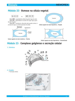 Módulo 22· Osmose na célula vegetal
Sc = Si – M ou DDP = PO – PT
Sc ou DPD = capacidade da célula de ganhar água do meio
Si ou PO = capacidade do vacúolo de sugar água (pres-
são de entrada)
M ou PT = resistência oferecida pela parede celular à
entrada de água na célula (pressão de saída)
Hialoplasma
Parede
celular
Membrana
plasmática
Vacúolo
Celula vegetal em meio isotônico – Flácida
Vacúolo
Célula vegetal em meio hipotônico – Túrgida
Vacúolo
Célula vegetal em meio hipertônico – Plasmolisada
Módulo 23· Complexo golgiense e secreção celular
Estrutura1.
Vesículas
Funções2.
Secreção celular•	
RE granuloso
Ribossomos
Complexo golgiense
Enem e Vestibular Dose Dupla 14
Biologia MEMOREX
 