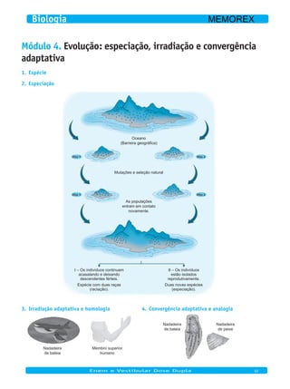 Módulo 4. Evolução: especiação, irradiação e convergência
adaptativa
Espécie1.
Especiação2.
Oceano
(Barreira geográfica)
Mutações e seleção natural
As populações
entram em contato
novamente.
I – Os indivíduos continuam
acasalando e deixando
descendentes férteis.
Espécie com duas raças
(raciação).
II – Os indivíduos
estão isolados
reprodutivamente.
Duas novas espécies
(especiação).
Irradiação adaptativa e homologia3.
Nadadeira
de baleia
Membro superior
humano
Convergência adaptativa e analogia4.
Nadadeira
de baleia
Nadadeira
de peixe
Enem e Vestibular Dose Dupla 02
Biologia MEMOREX
 