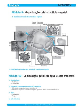 Parede
celular
Membrana
plasmática
Retículo endoplasmático não granuloso
Mitocôndria
CloroplastoRibossomos
Complexo golgiense
Núcleo
Retículo
endoplasmático
granuloso
Grande
vacúolo
Morfologia e funções das principais estruturas celulares2.
Módulo 10· Composição química: água e sais minerais
Metabolismo1.
Anabolismo•	
Catabolismo•	
Principais componentes químicos das células2.
Substâncias inorgânicas: água e sais minerais•	
Substâncias orgânicas: carboidratos, lipídios, proteínas, ácidos nucleicos e vitaminas•	
Água3.
Propriedades•	
Funções•	
Sais minerais4.
Módulo 9· Organização celular: célula vegetal
Organização básica de uma célula vegetal1.
Enem e Vestibular Dose Dupla 05
Biologia MEMOREX
 