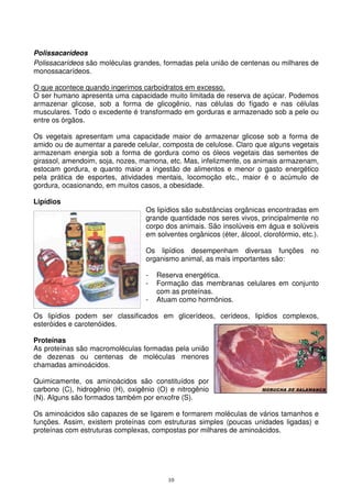 10
Polissacarídeos
Polissacarídeos são moléculas grandes, formadas pela união de centenas ou milhares de
monossacarídeos.
O que acontece quando ingerimos carboidratos em excesso.
O ser humano apresenta uma capacidade muito limitada de reserva de açúcar. Podemos
armazenar glicose, sob a forma de glicogênio, nas células do fígado e nas células
musculares. Todo o excedente é transformado em gorduras e armazenado sob a pele ou
entre os órgãos.
Os vegetais apresentam uma capacidade maior de armazenar glicose sob a forma de
amido ou de aumentar a parede celular, composta de celulose. Claro que alguns vegetais
armazenam energia sob a forma de gordura como os óleos vegetais das sementes de
girassol, amendoim, soja, nozes, mamona, etc. Mas, infelizmente, os animais armazenam,
estocam gordura, e quanto maior a ingestão de alimentos e menor o gasto energético
pela prática de esportes, atividades mentais, locomoção etc., maior é o acúmulo de
gordura, ocasionando, em muitos casos, a obesidade.
Lipídios
Os lipídios são substâncias orgânicas encontradas em
grande quantidade nos seres vivos, principalmente no
corpo dos animais. São insolúveis em água e solúveis
em solventes orgânicos (éter, álcool, clorofórmio, etc.).
Os lipídios desempenham diversas funções no
organismo animal, as mais importantes são:
- Reserva energética.
- Formação das membranas celulares em conjunto
com as proteínas.
- Atuam como hormônios.
Os lipídios podem ser classificados em glicerídeos, cerídeos, lipídios complexos,
esteróides e carotenóides.
Proteínas
As proteínas são macromoléculas formadas pela união
de dezenas ou centenas de moléculas menores
chamadas aminoácidos.
Quimicamente, os aminoácidos são constituídos por
carbono (C), hidrogênio (H), oxigênio (O) e nitrogênio
(N). Alguns são formados também por enxofre (S).
Os aminoácidos são capazes de se ligarem e formarem moléculas de vários tamanhos e
funções. Assim, existem proteínas com estruturas simples (poucas unidades ligadas) e
proteínas com estruturas complexas, compostas por milhares de aminoácidos.
 