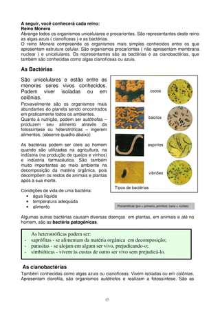 17
A seguir, você conhecerá cada reino:
Reino Monera
Abrange todos os organismos unicelulares e procariontes. São representantes deste reino
as algas azuis ( cianofíceas ) e as bactérias.
O reino Monera compreende os organismos mais simples conhecidos entre os que
apresentam estrutura celular. São organismos procariontes ( não apresentam membrana
nuclear ) e unicelulares. Os representantes são as bactérias e as cianobactérias, que
também são conhecidas como algas cianofíceas ou azuis.
As Bactérias
São unicelulares e estão entre os
menores seres vivos conhecidos.
Podem viver isoladas ou em
colônias.
Provavelmente são os organismos mais
abundantes do planeta sendo encontrados
em praticamente todos os ambientes.
Quanto à nutrição, podem ser autótrofas –
produzem seu alimento através da
fotossíntese ou heterotróficas – ingerem
alimentos. (observe quadro abaixo)
As bactérias podem ser úteis ao homem
quando são utilizadas na agricultura, na
indústria (na produção de queijos e vinhos)
e indústria farmacêutica. São também
muito importantes ao meio ambiente na
decomposição da matéria orgânica, pois
decompõem os restos de animais e plantas
após a sua morte.
Condições de vida de uma bactéria:
• água líquida
• temperatura adequada
• alimento
Algumas outras bactérias causam diversas doenças em plantas, em animais e até no
homem, são as bactéria patogênicas.
As cianobactérias
Também conhecidas como algas azuis ou cianofíceas. Vivem isoladas ou em colônias.
Apresentam clorofila, são organismos autótrofos e realizam a fotossíntese. São as
As heterotróficas podem ser:
- saprófitas - se alimentam da matéria orgânica em decomposição;
- parasitas - se alojam em algum ser vivo, prejudicando-o;
- simbióticas - vivem às custas de outro ser vivo sem prejudicá-lo.
Procarióticas (pro = primeiro, primitivo; cario = núcleo)
 