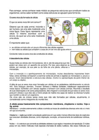 3
Para começar, vamos conhecer neste módulo as pequenas estruturas que constituem todos os
organismos; vamos saber também como estas estruturas se agrupam para formá-los.
Osseresvivossãoformadosdecélulas
O que os seres vivos têm em comum?
Observe que de cada animal, incluindo o
ser humano, sai uma seta mostrando uma
única figura. Essa figura representa uma
célula. O mesmo acontece com a
árvore, da qual sai uma seta mostrando
uma célula.
É importante saber que:
as células animais são um pouco diferentes das células vegetais;
nem todas as células que compõem o corpo de um ser vivo são iguais entre si.
Concluindo: todos os seres vivos são constituídos de células.
A descoberta das células
Quase todas as células são microscópicas, isto é, são tão pequenas que não
podem ser vistas sem um aparelho de aumento. Por isso, para observar as
células, por exemplo, de sua pele ou da folha de uma planta, utiliza-se o
microscópio.
Com a invenção e o aperfeiçoamento do microscópio, muitas descobertas importantes foram
feitas; vários cientistas começaram a examinar cortes de animais e vegetais ao microscópio e, pouco a
pouco, foram desvendando a estrutura das células. (Corte é a apresentação da parte interior de
um corpo ou objeto).
A idéia de que os seres vivos eram formados por células só se estabeleceu definitivamente no século
XIX. Dois biólogos alemães, Theodor Schwann e Mathias Schleiden, trabalhavam separadamente
nessa época: Schleiden com células vegetais e Schwann com células animais. Reunindo o resultado
de suas observações e de outros pesquisadores, eles chegaram à conclusão de que todos os seres vivos
possuem células e que elas são a menor porção de matéria viva capaz de realizar as diversas funções
que mantêm a vida em um organismo.
Os vírus são os únicos seres vivos que não são formados por células, atualmente, é
considerado como integrante do mundo vivo.
A célula possui basicamente três componentes: membrana, citoplasma e núcleo. Veja a
fig. acima
Membrana — envolve externamente a célula e controla as trocas de substâncias diversas entre ela e o meio
em que se encontra.
Citoplasma—regiãoquecontémumasolução gelatinosa em que estão imersos diferentes tipos de orgânulos
que executam atividades diversas, como respiração, excreção, armazenamento de substâncias nutritivas,
etc.
Núcleo — é a estrutura que comanda as atividades celulares e que regula o mecanismo de reprodução. O núcleo
possui em seu interior moléculas muito especiais chamadas de ácidos nucléicos. São essas moléculas que
 