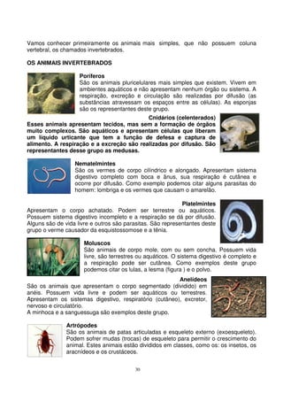 30
Vamos conhecer primeiramente os animais mais simples, que não possuem coluna
vertebral, os chamados invertebrados.
OS ANIMAIS INVERTEBRADOS
Poríferos
São os animais pluricelulares mais simples que existem. Vivem em
ambientes aquáticos e não apresentam nenhum órgão ou sistema. A
respiração, excreção e circulação são realizadas por difusão (as
substâncias atravessam os espaços entre as células). As esponjas
são os representantes deste grupo.
Cnidários (celenterados)
Esses animais apresentam tecidos, mas sem a formação de órgãos
muito complexos. São aquáticos e apresentam células que liberam
um líquido urticante que tem a função de defesa e captura de
alimento. A respiração e a excreção são realizadas por difusão. São
representantes desse grupo as medusas.
Nematelmintes
São os vermes de corpo cilíndrico e alongado. Apresentam sistema
digestivo completo com boca e ânus, sua respiração é cutânea e
ocorre por difusão. Como exemplo podemos citar alguns parasitas do
homem: lombriga e os vermes que causam o amarelão.
Platelmintes
Apresentam o corpo achatado. Podem ser terrestre ou aquáticos.
Possuem sistema digestivo incompleto e a respiração se dá por difusão.
Alguns são de vida livre e outros são parasitas. São representantes deste
grupo o verme causador da esquistossomose e a tênia.
Moluscos
São animais de corpo mole, com ou sem concha. Possuem vida
livre, são terrestres ou aquáticos. O sistema digestivo é completo e
a respiração pode ser cutânea. Como exemplos deste grupo
podemos citar os lulas, a lesma (figura ) e o polvo.
Anelídeos
São os animais que apresentam o corpo segmentado (dividido) em
anéis. Possuem vida livre e podem ser aquáticos ou terrestres.
Apresentam os sistemas digestivo, respiratório (cutâneo), excretor,
nervoso e circulatório.
A minhoca e a sanguessuga são exemplos deste grupo.
Artrópodes
São os animais de patas articuladas e esqueleto externo (exoesqueleto).
Podem sofrer mudas (trocas) de esqueleto para permitir o crescimento do
animal. Estes animais estão divididos em classes, como os: os insetos, os
aracnídeos e os crustáceos.
Schistoso
 
