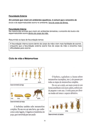 36
Fecundação Externa
Em animais que vivem em ambientes aquáticos, é comum que o encontro do
óvulo e do espermatozóide ocorra no ambiente, fora do corpo da fêmea.
Fecundação Interna
Na maioria dos animais que vivem em ambientes terrestres, o encontro do óvulo e do
espermatozóide ocorre dentro do corpo da mãe.
Resumindo os tipos de fecundação temos:
Ciclo de vida e Metamorfose
A fecundação interna ocorre dentro do corpo da mãe e tem mais facilidade de ocorrer,
enquanto que a fecundação externa ocorre fora do corpo da mãe e encontra mais
dificuldades para ocorrer.
 