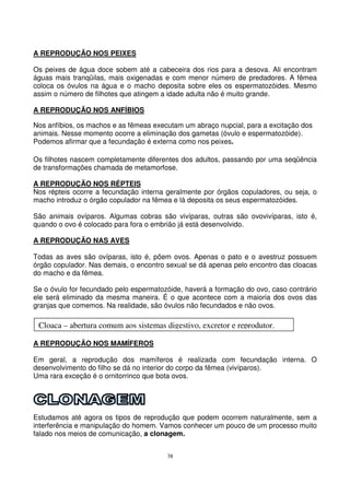 38
A REPRODUÇÃO NOS PEIXES
Os peixes de água doce sobem até a cabeceira dos rios para a desova. Ali encontram
águas mais tranqüilas, mais oxigenadas e com menor número de predadores. A fêmea
coloca os óvulos na água e o macho deposita sobre eles os espermatozóides. Mesmo
assim o número de filhotes que atingem a idade adulta não é muito grande.
A REPRODUÇÃO NOS ANFÍBIOS
Nos anfíbios, os machos e as fêmeas executam um abraço nupcial, para a excitação dos
animais. Nesse momento ocorre a eliminação dos gametas (óvulo e espermatozóide).
Podemos afirmar que a fecundação é externa como nos peixes.
Os filhotes nascem completamente diferentes dos adultos, passando por uma seqüência
de transformações chamada de metamorfose.
A REPRODUÇÃO NOS RÉPTEIS
Nos répteis ocorre a fecundação interna geralmente por órgãos copuladores, ou seja, o
macho introduz o órgão copulador na fêmea e lá deposita os seus espermatozóides.
São animais ovíparos. Algumas cobras são vivíparas, outras são ovovivíparas, isto é,
quando o ovo é colocado para fora o embrião já está desenvolvido.
A REPRODUÇÃO NAS AVES
Todas as aves são ovíparas, isto é, põem ovos. Apenas o pato e o avestruz possuem
órgão copulador. Nas demais, o encontro sexual se dá apenas pelo encontro das cloacas
do macho e da fêmea.
Se o óvulo for fecundado pelo espermatozóide, haverá a formação do ovo, caso contrário
ele será eliminado da mesma maneira. É o que acontece com a maioria dos ovos das
granjas que comemos. Na realidade, são óvulos não fecundados e não ovos.
A REPRODUÇÃO NOS MAMÍFEROS
Em geral, a reprodução dos mamíferos é realizada com fecundação interna. O
desenvolvimento do filho se dá no interior do corpo da fêmea (vivíparos).
Uma rara exceção é o ornitorrinco que bota ovos.
Estudamos até agora os tipos de reprodução que podem ocorrem naturalmente, sem a
interferência e manipulação do homem. Vamos conhecer um pouco de um processo muito
falado nos meios de comunicação, a clonagem.
Cloaca – abertura comum aos sistemas digestivo, excretor e reprodutor.
 