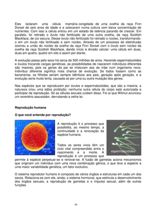 40
Eles isolaram uma célula mamária congelada de uma ovelha da raça Finn
Dorset de seis anos de idade e a colocaram numa cultura com baixa concentração de
nutrientes. Com isso a célula entrou em um estado de latência parando de crescer. Em
paralelo, foi retirado o óvulo não fertilizado de uma outra ovelha, da raça Scottish
Blackface, de cor escura. Desse óvulo não fertilizado foi retirado o núcleo, transformando-
o em um óvulo não fertilizado e sem núcleo. Através de um processo de eletrofusão
ocorreu a união do núcleo da ovelha da raça Finn Dorset com o óvulo sem núcleo da
ovelha da raça Scottish Blackface, dando início à divisão celular: uma célula em duas,
duas em quatro, quatro em oito e assim por diante.
A evolução passa pelo sexo há cerca de 500 milhões de anos. Havendo espermatozóides
e óvulos trocando cargas genéticas, as possibilidades de nascerem indivíduos diferentes
são maiores, pois os genes do pai se misturam aos da mãe num organismo novo.
Indivíduo diferente significa mais chance de evolução. Se todos fossem como as
bananeiras, os filhotes seriam sempre idênticos aos pais, geração após geração, e a
evolução seria muito lenta, causada só por uma ou outra mutação dos genes.
Nas espécies que se reproduzem por óvulos e espermatozóides, que são a maioria, a
natureza criou uma sábia proibição: nenhuma outra célula do corpo está autorizada a
participar da reprodução. Só as células sexuais cuidam disso. Foi aí que Wilmut anunciou
um revertério assustador, derrubando a velha lei.
Reprodução humana
O que você entende por reprodução?
A reprodução é o processo que
possibilita, ao mesmo tempo, a
continuidade e a renovação da
espécie humana.
Todos os seres vivos têm um
ciclo vital compreendido entre o
nascimento e a morte. A
reprodução é um processo que
permite à espécie perpetuar-se e renovar-se. A fusão de gametas aciona mecanismos
que originam um indivíduo com uma nova combinação gênica, o que leva a espécie a
uma maior variabilidade genética, um fator evolutivo.
O sistema reprodutor humano é composto de vários órgãos e estruturas em cada um dos
sexos. Relaciona-se com ele, ainda, o sistema hormonal, que estimula o desenvolvimento
dos órgãos sexuais, a reprodução de gametas e o impulso sexual, além de outras
funções.
óvulo
espermatozóides
 