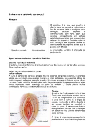 43
Saiba mais e cuide do seu corpo!
Fimose
O prepúcio é a pele que envolve a
glande, deve ser puxado e higienizado a
fim de se retirar dele o esmegma (uma
secreção sebácea espessa e
esbranquiçada, com forte odor, que
consiste principalmente em células
epiteliais descamadas que se acumulam
debaixo do prepúcio). Quando a glande
não consegue ser exposta devido ao
estreitamento do prepúcio, diz-se que a
pessoa tem fimose.
A circuncisão, também é chamada de
postectomia.
Agora vamos ao sistema reprodutor feminino.
Sistema reprodutor feminino
O sistema reprodutor feminino é formado por um par de ovários, um par de tubas uterinas,
útero, vagina e vulva.
Veja a seguir cada uma dessas partes:
Vulva e clitóris
A vulva é constituída por duas pregas de pele cobertas por pêlos pubianos, os grandes
lábios, que envolvem duas pregas menores e mais delicadas, os pequenos lábios, os
quais protegem a abertura vaginal e a uretra. Um pouco acima do orifício da uretra, há um
pequeno órgão, o clitóris, formado pela união da parte superior dos pequenos lábios e por
tecido esponjoso erétil, homólogo ao pênis do homem. O clitóris possui muitas
terminações nervosas, sendo muito sensível a estímulos.
Vagina
A vagina é o órgão copulador feminino.
É um canal musculoso e elástico de 8 a
15 cm de comprimento, que comunica
o útero com a vulva. É o órgão de
cópula, recebendo o pênis durante o
ato sexual; também se constitui no
canal do parto. A extremidade interna
da vagina comunica-se com o útero por
um canal do colo uterino denominado
canal cervical.
O hímen é uma membrana que fecha
parcialmente a abertura da vagina e se
 
