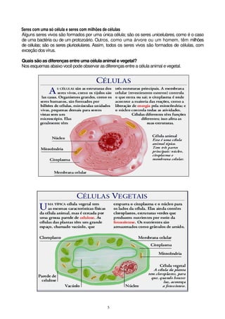 5
Seres com uma só célula e seres com milhões de células
Alguns seres vivos são formados por uma única célula; são os seres unicelulares, como é o caso
de uma bactéria ou de um protozoário. Outros, como uma árvore ou um homem, têm milhões
de células; são os seres pluricelulares. Assim, todos os seres vivos são formados de células, com
exceção dos vírus.
Quais são as diferenças entre uma célula animal e vegetal?
Nos esquemas abaixo você pode observar as diferenças entre a célula animal e vegetal.
 
