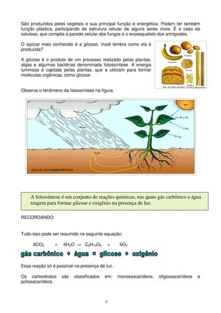 8
São produzidos pelos vegetais e sua principal função é energética. Podem ter também
função plástica, participando da estrutura celular de alguns seres vivos. É o caso da
celulose, que compõe a parede celular dos fungos e o exoesqueleto dos artrópodes.
O açúcar mais conhecido é a glicose. Você lembra como ela é
produzida?
A glicose é o produto de um processo realizado pelas plantas,
algas e algumas bactérias denominada fotossíntese. A energia
luminosa é captada pelas plantas, que a utilizam para formar
moléculas orgânicas, como glicose.
Observe o fenômeno da fotossíntese na figura.
RECORDANDO:
Tudo isso pode ser resumido na seguinte equação:
6CO2 + 6H2O ⇒ C6H12O6 + 6O2
Essa reação só é possível na presença de luz.
Os carboidratos são classificados em: monossacarídeos, oligossacarídeos e
polissacarídeos.
A fotossíntese é um conjunto de reações químicas, nas quais gás carbônico e água
reagem para formar glicose e oxigênio na presença de luz.
 