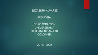 ELIZABETH ALVAREZ
BIOLOGIA
COROPORACION
UNIVERSITARIA
IBEROAMERICANA DE
COLOMBIA
20-03-2020
 