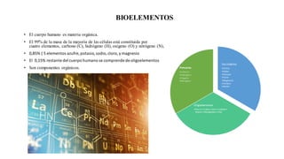 BIOELEMENTOS
• El cuerpo humano es materia orgánica.
• El 99% de la masa de la mayoría de las células está constituida por
cuatro elementos, carbono (C), hidrógeno (H), oxígeno (O) y nitrógeno (N),
• 0,85% ( 5 elementos azufre, potasio,sodio,cloro,y magnesio
• El 0,15% restante del cuerpo humano se comprende de oligoelementos
• Son componentes orgánicos.
Secundarios
•Calcio
•Sodio
•Potasio
•Cloro
•Magnesio
•Fósforo
•Azufre
Oligoelementos
•Hierro •Cobre •Zinc•Cobalto •
Níquel •Manganeso •Litio
Primarios
•Carbono
•Hidrogeno
•Oxigeno
•Nitrogeno
 