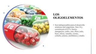 LOS
OLIGOELEMENTOS
 