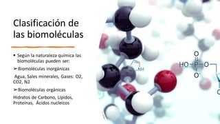 Clasificación de
las biomoléculas
▪ Según la naturaleza química las
biomoléculas pueden ser:
➢Biomoléculas inorgánicas
Agua, Sales minerales, Gases: O2,
CO2, N2
➢Biomoléculas orgánicas
Hidratos de Carbono, Lípidos,
Proteínas, Ácidos nucleicos
 