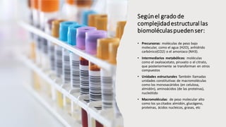 Segúnel grado de
complejidadestructural las
biomoléculaspuedenser:
• Precursoras: moléculas de peso bajo
molecular, como el agua (H2O), anhídrido
carbónico(CO2) o el amoniaco (NH3).
• Intermediarios metabólicos: moléculas
como el oxaloacetato, piruvato o el citrato,
que posteriormente se transforman en otros
compuestos
• Unidades estructurales También llamadas
unidades constitutivas de macromoléculas
como los monosacáridos (en celulosa,
almidón), aminoácidos (de las proteínas),
nucleótido
• Macromoléculas: de peso molecular alto
como los ya citados almidón, glucógeno,
proteínas, ácidos nucleicos, grasas, etc
 