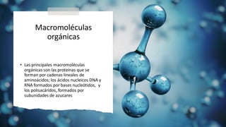 Macromoléculas
orgánicas
• Las principales macromoléculas
orgánicas son las proteínas que se
forman por cadenas lineales de
aminoácidos; los ácidos nucleicos DNA y
RNA formados por bases nucleótidos, y
los polisacáridos, formados por
subunidades de azucares
 