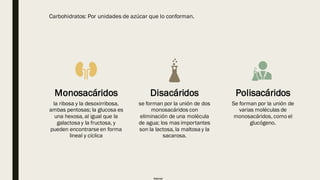 Internal
Monosacáridos
la ribosa y la desoxirribosa,
ambas pentosas; la glucosa es
una hexosa, al igual que la
galactosa y la fructosa, y
pueden encontrarse en forma
lineal y cíclica
Disacáridos
se forman por la unión de dos
monosacáridos con
eliminación de una molécula
de agua; los mas importantes
son la lactosa, la maltosa y la
sacarosa.
Polisacáridos
Se forman por la unión de
varias moléculas de
monosacáridos, como el
glucógeno.
Carbohidratos: Por unidades de azúcar que lo conforman.
 