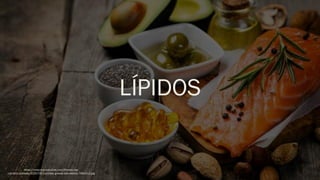 LÍPIDOS
https://mejorconsalud.as.com/fitness/wp-
content/uploads/2020/05/comidas-grasas-saludables-768x512.jpg
 