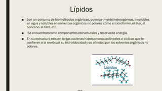 Internal
Lípidos
■ Son un conjuntode biomoléculas orgánicas, química- mente heterogéneas, insolubles
en agua y solubles en solventes orgánicos no polares como el cloroformo, el éter, el
benceno, el Xilol, etc.
■ Se encuentran como componentesestructurales y reserva de energía.
■ En su estructura existen largas cadenas hidrocarbonadas lineales o cíclicas que le
confieren a la molécula su hidrofobicidad y su afinidad por los solventes orgánicos no
polares.
 