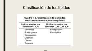 Internal
Clasificación de los lípidos
 