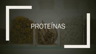 PROTEÍNAS
 
