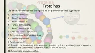 Internal
Proteínas
Las principales funciones biológicas de las proteínas son las siguientes:
1. Función estructural.
2. Función enzimática. .
3. Función hormonal. .
4. Función de transporte.
5. Función homeostática.
6. Función de defensa inmunitaria.
7. Reconocimientode señales químicas. .
8. Funciones reguladoras.
9. Función contráctil. .
10. Transducciónde señales (cambio en la naturaleza fisicoquímica de señales), como la rodopsina
de la retina, que transduceun fotón luminoso en un impulso nervioso.
11. Funciones de reserva energética.
 