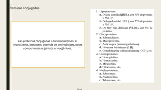 Internal
Proteínas conjugadas
Las proteínas conjugadas o heteroproteínas, al
hidrolizarse, producen, además de aminoácidos, otros
componentes orgánicos o inorgánicos.
 