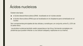 Internal
Ácidos nucleicos
Existen dos tipos:
■ el ácido desoxirribonucleico(DNA) localizado en el núcleo celular
■ el ácido ribonucleico(RNA) que se localizada en el citoplasma pero sintetizado en el
núcleo
Son componentes principales de las células y constituyen, en conjunto, entre 5 y 15% de
su peso seco.
Los ácidos nucleicos también están presentes en los Virus, formando complejos con
proteínas que pueden infectar a una célula huésped y replicarse en su interior.
 