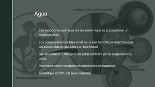 z
Agua
▪ Las reacciones químicas en los seres vivos se producen en un
medio acuoso
▪ Los compuestos solubles en el agua son hidrofílicos mientras que
las sustancias no solubles son hidrófobas
▪ Se necesitan 2.5 litros por día para perdidas por la evaporación u
orina.
▪ Interviene como reactante en reacciones encimaticas
▪ Constituye el 70% del peso corporal
 