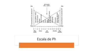 Escala de Ph
 