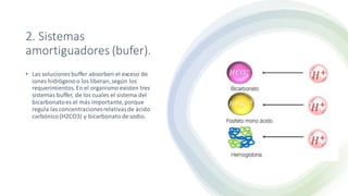 2. Sistemas
amortiguadores (bufer).
• Las soluciones buffer absorben el exceso de
iones hidrógenoo los liberan,según los
requerimientos. En el organismo existen tres
sistemas buffer, de los cuales el sistema del
bicarbonatoes el más importante,porque
regula lasconcentracionesrelativasde ácido
carbónico(H2CO3) y bicarbonato desodio.
 