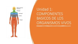 Unidad 1:
COMPONENTES
BASICOS DE LOS
ORGANISMOS VIVOS
 
