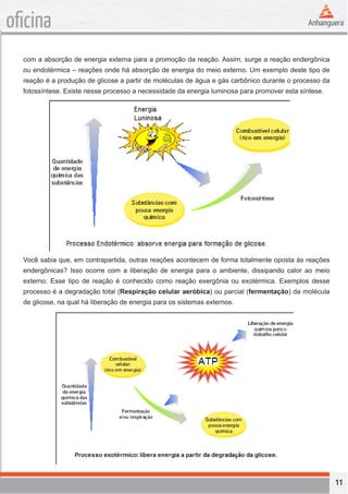 11 
oficina 
com a absorção de energia externa para a promoção da reação. Assim, surge a reação endergônica 
ou endotérmica – reações onde há absorção de energia do meio externo. Um exemplo deste tipo de 
reação é a produção de glicose a partir de moléculas de água e gás carbônico durante o processo da 
fotossíntese. Existe nesse processo a necessidade da energia luminosa para promover esta síntese. 
Você sabia que, em contrapartida, outras reações acontecem de forma totalmente oposta às reações 
endergônicas? Isso ocorre com a liberação de energia para o ambiente, dissipando calor ao meio 
externo. Esse tipo de reação é conhecido como reação exergônia ou exotérmica. Exemplos desse 
processo é a degradação total (Respiração celular aeróbica) ou parcial (fermentação) da molécula 
de glicose, na qual há liberação de energia para os sistemas externos. 
 