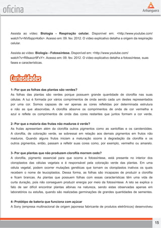 15 
oficina 
Assista ao vídeo: Biologia - Respiração celular. Disponível em: <http://www.youtube.com/ 
watch?v=NV6qqcr4o6s>. Acesso em: 09. fev. 2012. O vídeo explicativo detalha a origem da respiração 
celular. 
Assista ao vídeo: Biologia - Fotossíntese. Disponível em: <http://www.youtube.com/ 
watch?v=R8saxzr9FxY>. Acesso em: 09. fev. 2012. O vídeo explicativo detalha a fotossíntese, suas 
fases e características. 
Curiosidades 
1- Por que as folhas das plantas são verdes? 
As folhas das plantas são verdes porque possuem grande quantidade de clorofila nas suas 
células. A luz é formada por vários comprimentos de onda sendo cada um destes representados 
por uma cor. Somos capazes de ver apenas as cores refletidas por determinada estrutura 
e não as que absorvidas. A clorofila absorve os comprimentos de onda de cor vermelha e 
azul e reflete os comprimentos de onda das cores restantes que juntos formam a cor verde. 
2- Por que a maioria das frutas não maduras é verde? 
As frutas apresentam além da clorofila outros pigmentos como as xantofilas e os carotenóides. 
A clorofila, de coloração verde, se sobressai em relação aos demais pigmentos em frutos não 
maduros. Quando alguns frutos iniciam a maturação ocorre à degradação da clorofila e os 
outros pigmentos, então, passam a refletir suas cores como, por exemplo, vermelho ou amarelo. 
3- Por que plantas que não produzem clorofila morrem cedo? 
A clorofila, pigmento essencial para que ocorra a fotossíntese, está presente no interior dos 
cloroplastos das células vegetais e é responsável pela coloração verde das plantas. Em uma 
célula vegetal, podem ocorrer mutações genéticas que tornam os cloroplastos inativos os quais 
recebem o nome de leucoplastos. Dessa forma, as folhas são incapazes de produzir a clorofila 
e ficam brancas. As plantas que possuem folhas com essas características têm uma vida de 
curta duração, pois não conseguem produzir energia por meio da fotossíntese. A isto se explica o 
fato de ser difícil encontrar plantas albinas na natureza, sendo estas observadas apenas em 
laboratórios ou estufas, quando são realizadas germinações de grandes quantidades de sementes. 
4- Protótipo de bateria que funciona com açúcar 
A Sony (empresa multinacional de origem japonesa fabricante de produtos eletrônicos) desenvolveu 
 