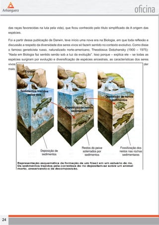 24 
oficina 
das raças favorecidas na luta pela vida), que ficou conhecido pelo título simplificado de A origem das 
espécies. 
Foi a partir dessa publicação de Darwin, teve início uma nova era na Biologia, em que toda reflexão e 
discussão a respeito da diversidade dos seres vivos só fazem sentido no contexto evolutivo. Como disse 
o famoso geneticista russo, naturalizado norte-americano, Theodosius Dobzhansky (1900 – 1975): 
“Nada em Biologia faz sentido senão sob a luz da evolução”. Isso porque – explica ele – se todas as 
espécies surgiram por evolução e diversificação de espécies ancestrais, as características dos seres 
vivos atuais certamente refletem sua história evolutiva. Portanto, para que você possa compreender 
mais amplamente o fenômeno vida, é preciso considerá-la sob enfoque da evolução. 
(A figura abaixo foi retirada do livro volume único do AMABIS & MARTHO) 
 
