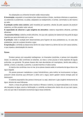 32 
oficina 
As adaptações ao ambiente terrestre estão relacionadas: 
À locomoção: esqueleto e musculatura bem desenvolvidos e fortes, membros inferiores e superiores, 
ou anteriores e posteriores, ou patas, adaptados ao rastejamento, à corrida, caminhada ou até mesmo 
ao salto. 
À proteção contra raios solares: pele revestida por queratina, células da pele capazes de produzir 
melanina, um filtro protetor solar natural. 
À capacidade de absorver o gás oxigênio da atmosfera: sistema respiratório eficiente, pulmões 
eficientes. 
À economia hídrica: sistema urinário eficiente, rins que são capazes de reabsorver boa parte da água 
ingerida que seria eliminada com a urina. 
À proteção: visão e audição bem desenvolvidas para fugirem de seus predadores ou, no caso dos 
predadores, para ter sucesso durante a caça. 
À reprodução: o embrião se desenvolve dentro do corpo materno ou dentro de ovo com casca calcária, 
o que impede a desidratação do mesmo. 
Peixes 
Existem peixes com esqueleto cartilaginoso, os chamados condrictes, e peixes com esqueleto 
ósseo, os osteíctes. São condrictes os tubarões, as raias e umas poucas e raras espécies de águas 
profundas, as quimeras. Os peixes ósseos são mais abundantes em exemplares, dentre eles estão o 
salmão, a traíra, o dourado, a piranha, o cavalo-marinho e muitos outros. 
A maioria dos condrictes vive no mar, já os peixes ósseos estão no ambiente de água doce e de 
água salgada. 
Os peixes possuem nadadeiras e corpo hidrodinâmico, para melhor se locomoverem na água, 
possuem ainda escamas que diminuem o atrito com a água, assim gastam menos energia para se 
deslocarem. 
O sistema respiratório dos peixes é branquial, ou seja, absorvem o gás oxigênio diretamente da 
água, através de suas brânquias. 
Assim, a troca de gametas entre machos e fêmeas é externa, os espermatozóides e os óvulos 
são lançados na água, ocorre a fertilização e o embrião se desenvolve dentro de um ovo sem casca, 
uma vez que não é necessário economizar água nesse ambiente. 
 