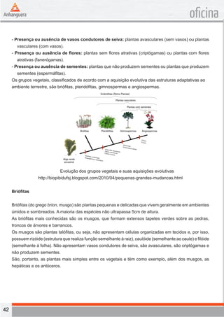 42 
oficina 
- Presença ou ausência de vasos condutores de seiva: plantas avasculares (sem vasos) ou plantas 
vasculares (com vasos). 
- Presença ou ausência de flores: plantas sem flores atrativas (criptógamas) ou plantas com flores 
atrativas (fanerógamas). 
- Presença ou ausência de sementes: plantas que não produzem sementes ou plantas que produzem 
sementes (espermáfitas). 
Os grupos vegetais, classificados de acordo com a aquisição evolutiva das estruturas adaptativas ao 
ambiente terrestre, são briófitas, pteridófitas, gimnospermas e angiospermas. 
Evolução dos grupos vegetais e suas aquisições evolutivas 
http://biopibidufsj.blogspot.com/2010/04/pequenas-grandes-mudancas.html 
Briófitas 
Briófitas (do grego brion, musgo) são plantas pequenas e delicadas que vivem geralmente em ambientes 
úmidos e sombreados. A maioria das espécies não ultrapassa 5cm de altura. 
As briófitas mais conhecidas são os musgos, que formam extensos tapetes verdes sobre as pedras, 
troncos de árvores e barrancos. 
Os musgos são plantas talófitas, ou seja, não apresentam células organizadas em tecidos e, por isso, 
possuem rizóide (estrutura que realiza função semelhante à raiz), caulóide (semelhante ao caule) e filóide 
(semelhante à folha). Não apresentam vasos condutores de seiva, são avasculares, são criptógamas e 
não produzem sementes. 
São, portanto, as plantas mais simples entre os vegetais e têm como exemplo, além dos musgos, as 
hepáticas e os antóceros. 
 