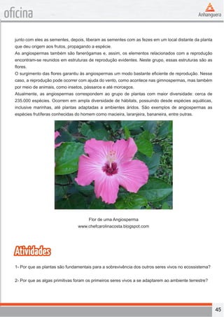 45 
oficina 
junto com eles as sementes, depois, liberam as sementes com as fezes em um local distante da planta 
que deu origem aos frutos, propagando a espécie. 
As angiospermas também são fanerógamas e, assim, os elementos relacionados com a reprodução 
encontram-se reunidos em estruturas de reprodução evidentes. Neste grupo, essas estruturas são as 
flores. 
O surgimento das flores garantiu às angiospermas um modo bastante eficiente de reprodução. Nesse 
caso, a reprodução pode ocorrer com ajuda do vento, como acontece nas gimnospermas, mas também 
por meio de animais, como insetos, pássaros e até morcegos. 
Atualmente, as angiospermas correspondem ao grupo de plantas com maior diversidade: cerca de 
235.000 espécies. Ocorrem em ampla diversidade de hábitats, possuindo desde espécies aquáticas, 
inclusive marinhas, até plantas adaptadas a ambientes áridos. São exemplos de angiospermas as 
espécies frutíferas conhecidas do homem como macieira, laranjeira, bananeira, entre outras. 
Flor de uma Angiosperma 
www.chefcarolinacosta.blogspot.com 
Atividades 
1- Por que as plantas são fundamentais para a sobrevivência dos outros seres vivos no ecossistema? 
2- Por que as algas primitivas foram os primeiros seres vivos a se adaptarem ao ambiente terrestre? 
 