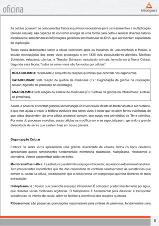 5 
oficina 
As células possuem os componentes físicos e químicos necessários para o crescimento e a multiplicação 
(divisão celular); são capazes de converter energia de uma forma para outra e realizar diversos fatores 
metabólicos; armazenam as informações genéticas em moléculas de DNA, que apresentam capacidade 
de duplicação. 
Todas essas descobertas sobre a célula ocorreram após os trabalhos de Leeuwenhoek e Hooke, o 
estudo microscópico dos seres vivos prosseguiu e em 1838 dois pesquisadores alemães, Matthias 
Schleiden, estudando plantas, e Theodor Schwann, estudando animais, formularam a Teoria Celular. 
Segundo essa teoria, “todos os seres vivos são formados por células”. 
MOTABOLISMO: representa o conjunto de reações químicas que ocorrem nos organismos. 
CATABOLISMO: toda reação de quebra de moléculas (Ex.: Degradação da glicose na respiração 
celular; digestão de proteínas no estômago). 
ANABOLISMO: toda reação de síntese de moléculas (Ex: Síntese da glicose na fotossíntese; síntese 
de proteínas). 
Assim, é possível encontrar grandes semelhanças no nível celular desde as bactérias até o ser humano, 
o que nos ajuda a traçar a história evolutiva dos seres vivos e notar que existem fortes evidências de 
que todos descendem de uma célula ancestral comum, que surgiu nos primórdios da Terra primitiva. 
Por meio do processo evolutivo, essas células se modificaram e se especializaram, gerando a grande 
diversidade de seres que existem hoje em nosso planeta. 
Organização Celular 
Embora os seres vivos apresentem uma grande diversidade de células, todos os tipos celulares 
apresentam quatro componentes fundamentais: membrana plasmática, hialoplasma, ribossomos e 
cromatina. Vamos caracterizar cada um deles. 
Membrana Plasmática: é a estrutura que delimita o espaço intracelular, separando-o do meio extracelular. 
Tem propriedades importantes que lhe dão capacidade de controlar seletivamente as substâncias que 
entram ou saem da célula, possibilitando que a célula tenha um composição química diferente do meio 
extracelular. 
Hialoplasma: é o líquido que preenche o espaço intracelular. É composto predominantemente por água, 
que dissolve várias moléculas orgânicas. O hialoplasma é fundamental para dissolver e transportar 
substâncias no interior da célula, além de facilitar a ocorrência das reações químicas. 
Ribossomos: são pequenas granulações responsáveis pela síntese de proteínas, fundamentais para 
 