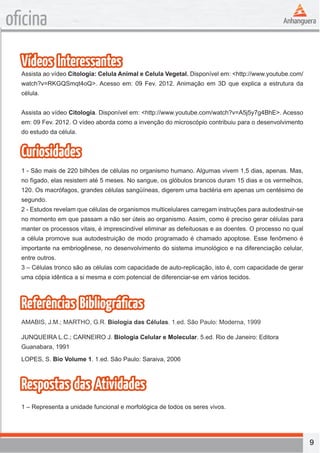 9 
oficina 
Vídeos Interessantes 
Assista ao vídeo Citologia: Celula Animal e Celula Vegetal. Disponível em: <http://www.youtube.com/ 
watch?v=RKGQSmqt4oQ>. Acesso em: 09 Fev. 2012. Animação em 3D que explica a estrutura da 
célula. 
Assista ao vídeo Citologia. Disponível em: <http://www.youtube.com/watch?v=A5j5y7g4BhE>. Acesso 
em: 09 Fev. 2012. O vídeo aborda como a invenção do microscópio contribuiu para o desenvolvimento 
do estudo da célula. 
Curiosidades 
1 - São mais de 220 bilhões de células no organismo humano. Algumas vivem 1,5 dias, apenas. Mas, 
no fígado, elas resistem até 5 meses. No sangue, os glóbulos brancos duram 15 dias e os vermelhos, 
120. Os macrófagos, grandes células sangüíneas, digerem uma bactéria em apenas um centésimo de 
segundo. 
2 - Estudos revelam que células de organismos multicelulares carregam instruções para autodestruir-se 
no momento em que passam a não ser úteis ao organismo. Assim, como é preciso gerar células para 
manter os processos vitais, é imprescindível eliminar as defeituosas e as doentes. O processo no qual 
a célula promove sua autodestruição de modo programado é chamado apoptose. Esse fenômeno é 
importante na embriogênese, no desenvolvimento do sistema imunológico e na diferenciação celular, 
entre outros. 
3 – Células tronco são as células com capacidade de auto-replicação, isto é, com capacidade de gerar 
uma cópia idêntica a si mesma e com potencial de diferenciar-se em vários tecidos. 
Referências Bibliográficas 
AMABIS, J.M.; MARTHO, G.R. Biologia das Células. 1.ed. São Paulo: Moderna, 1999 
JUNQUEIRA L.C.; CARNEIRO J. Biologia Celular e Molecular. 5.ed. Rio de Janeiro: Editora 
Guanabara, 1991 
LOPES, S. Bio Volume 1. 1.ed. São Paulo: Saraiva, 2006 
Respostas das Atividades 
1 – Representa a unidade funcional e morfológica de todos os seres vivos. 
 