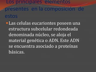 Los principales elementos
presentes en la composición de
estos
 Las celulas eucariontes poseen una
 estructura subcelular redondeada
 denominada núcleo, se aloja el
 material genética o ADN. Este ADN
 se encuentra asociado a proteínas
 básicas.
 