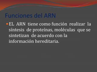 Funciones del ARN
 EL ARN tiene como función realizar la
 síntesis de proteínas, moléculas que se
 sintetizan de acuerdo con la
 información hereditaria.
 