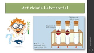 Actividade Laboratorial
NunoCorreia2015
10
 