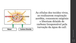 NunoCorreia2015
12
As células dos tecidos vivos,
ao realizarem respiração
aeróbia, consomem oxigénio
e libertam dióxido de
carbono (responsável pela
turvação da água de cal).
 