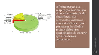 NunoCorreia2015
31
A fermentação e a
respiração aeróbia são
duas vias possíveis de
degradação dos
compostos orgânicos -
vias catabólicas - que
permitem às células
retirar diferentes
quantidades de energia
química desses
compostos.
 