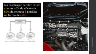 NunoCorreia2015
32
Na respiração celular existe
apenas de eficiência.
60% da energia é perdida
na forma de calor.
 