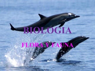 BIOLOGIA
FLORA Y FAUNA
 