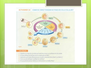 Nuno Correia 2011/12
 