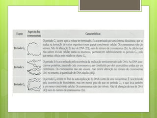 Nuno Correia 2011/12
 